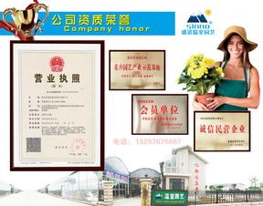 2017花海设计、造价与十年种植施工经验下的数字内容制作服务